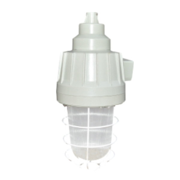 DCG53系列防爆燈(ⅡB、ⅡC)