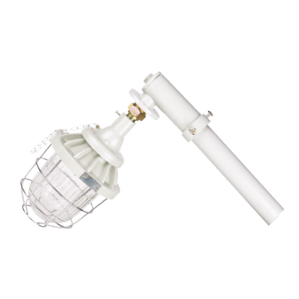 DCM 系列防爆馬路燈(ⅡB、ⅡC、e)